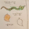 shimul99